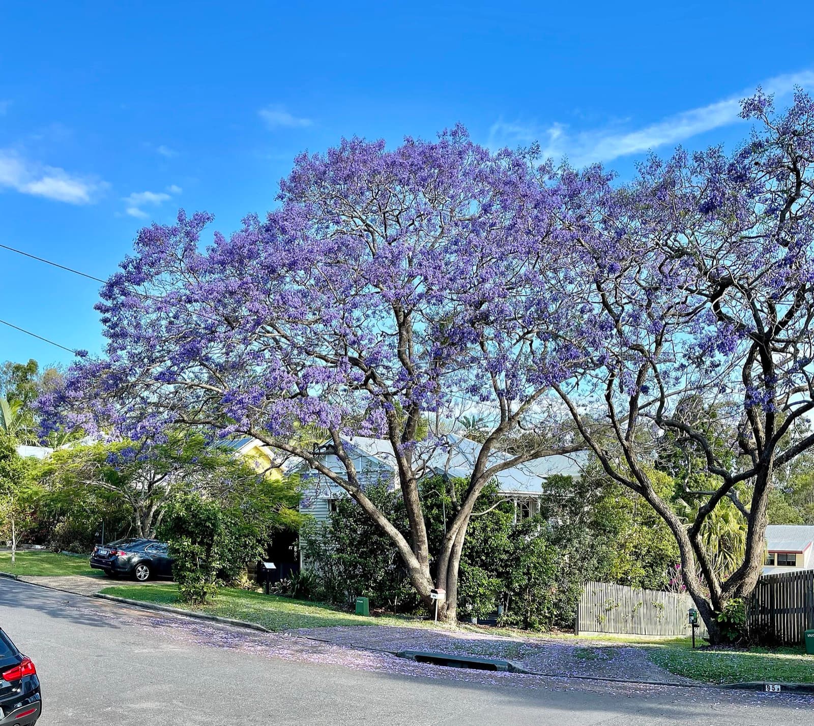 Brisbane Inner West