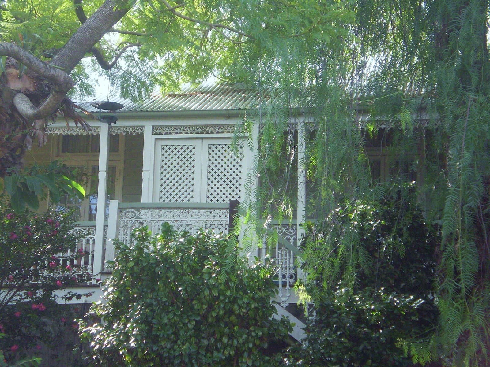 Ipswich & Springfield