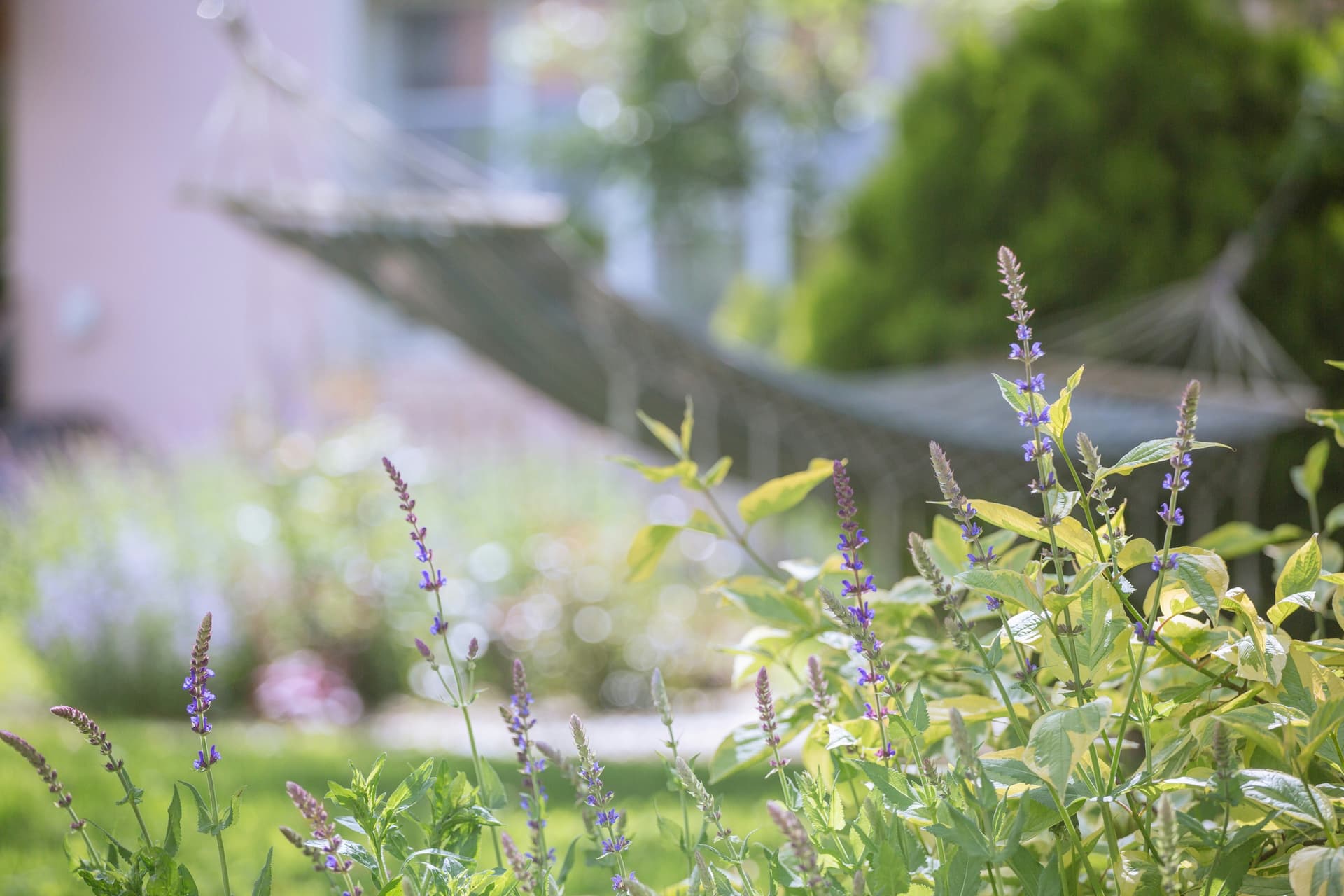 A hammock strung in a lush, flowering garden