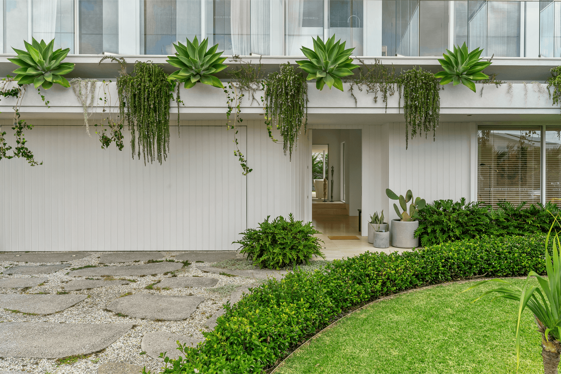 Contemporary Brisbane entry with hanging plants framing the front door